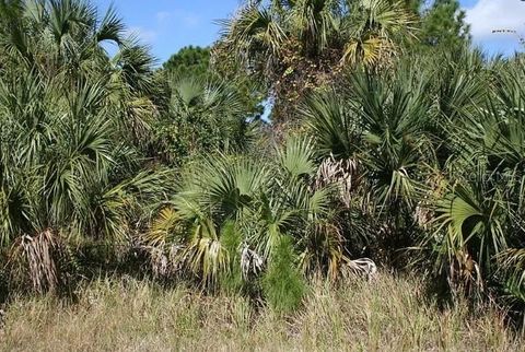 281 FARMINGTON STREET SW PALM BAY FL 32908