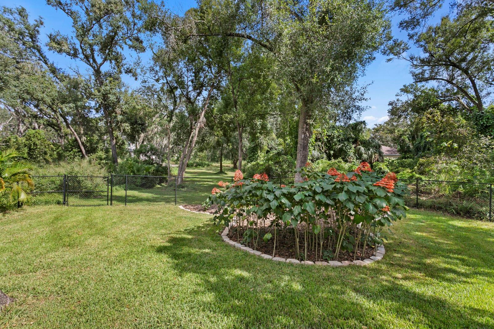 THE ENCLAVE AT OAK GROVE - Residential