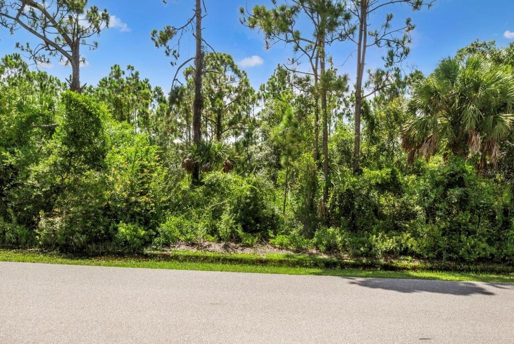 Photo of 3372 Douglas Road, Punta Gorda, FL 33980 (MLS # C7515880)