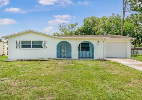 Photo of 231 S Barbour Street, Beverly Hills, FL 34465 (MLS # OM705452)