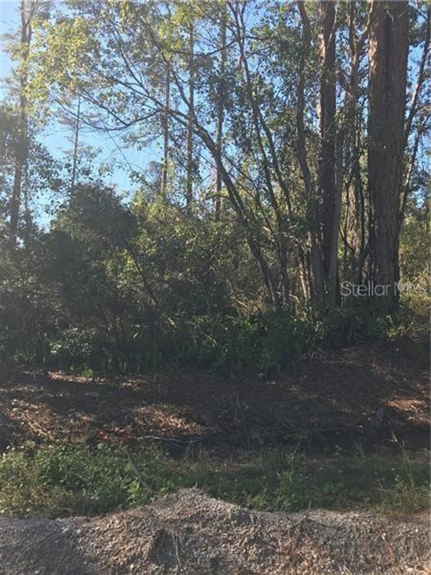 Vacant Land in Deltona Activity Area, no access yet  But buy while Prices are low
THIS LOT IS LAND LOCKED WHICH MEAN YOU CAN NOT GET TO IT . IT IS MORE FOR INVESTMENT AND FOR THE FUTURE ONCE THE STREETS ARE PUT IN