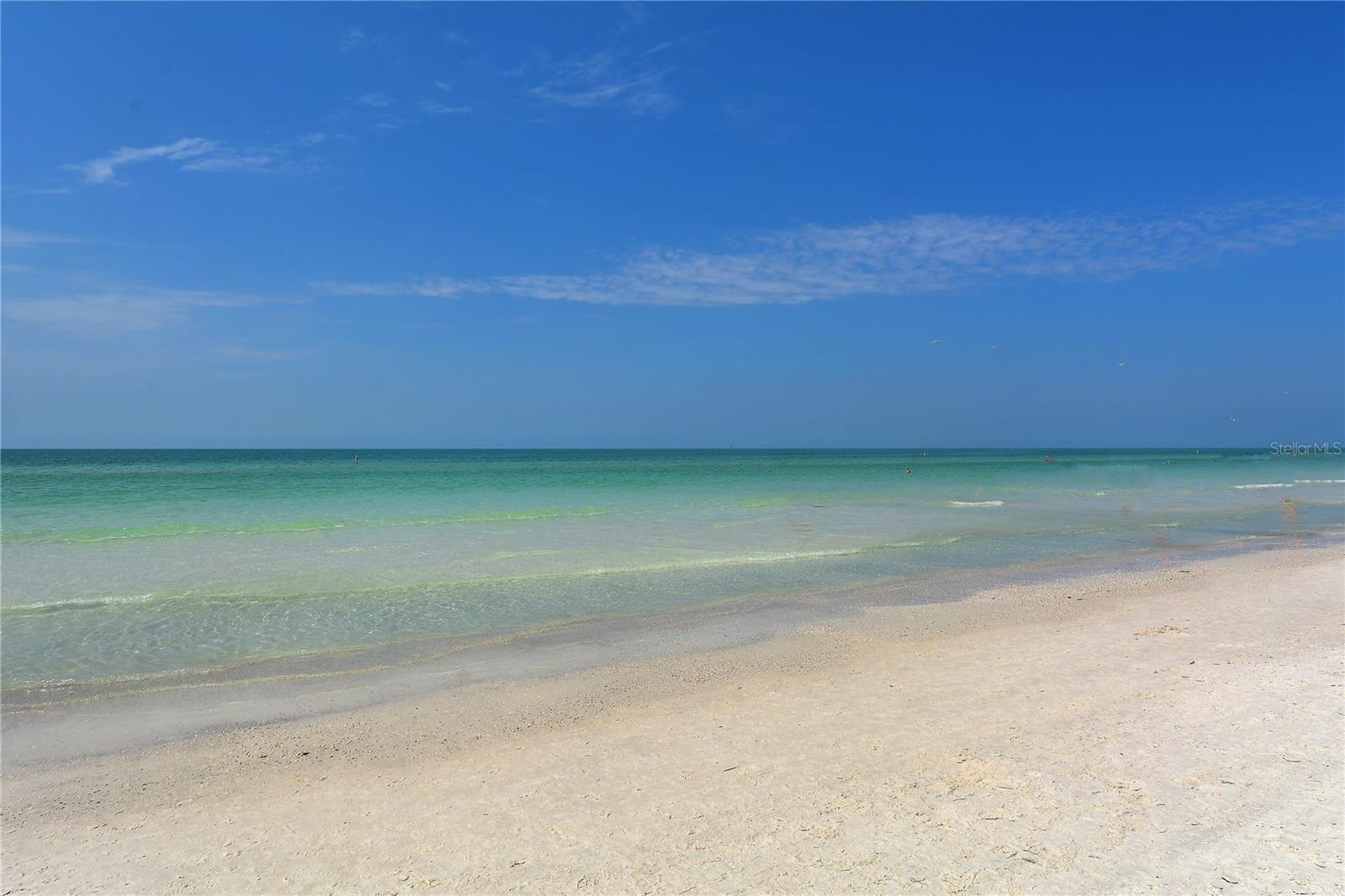 OCEAN BEACH REP - Residential