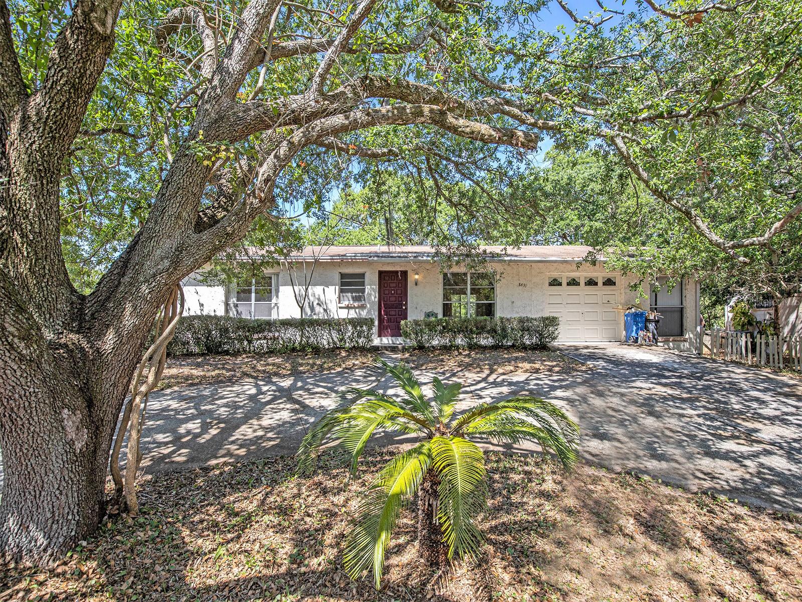 Under contract-accepting backup offers. $36k PRICE REDUCTION, SELLER IS MOTIVATED!!!! LOWEST PRICE PER SQUARE FOOT HOME IN TOWN N' COUNTRY!
NEW ROOF PRIOR TO CLOSING WITH STRONG OFFER (AT SELLERS DISCRETIONS). Rare Opportunity in Town & Country! The home sits on an oversized lot and backs up to Rocky Creek. Needs your special touch to really make this gem your own. The floor plan offers 2 bedrooms 2 baths, a spacious living area with a separate dining room. The 1-car garage conversion can be easily converted back to a 1 garage. Off the side of the garage, there is additional space for a home office or home gym. The large deck in the backyard is perfect for entertaining coupled with tranquil water views, which is rare to find at this price point. PRICED TO SELL