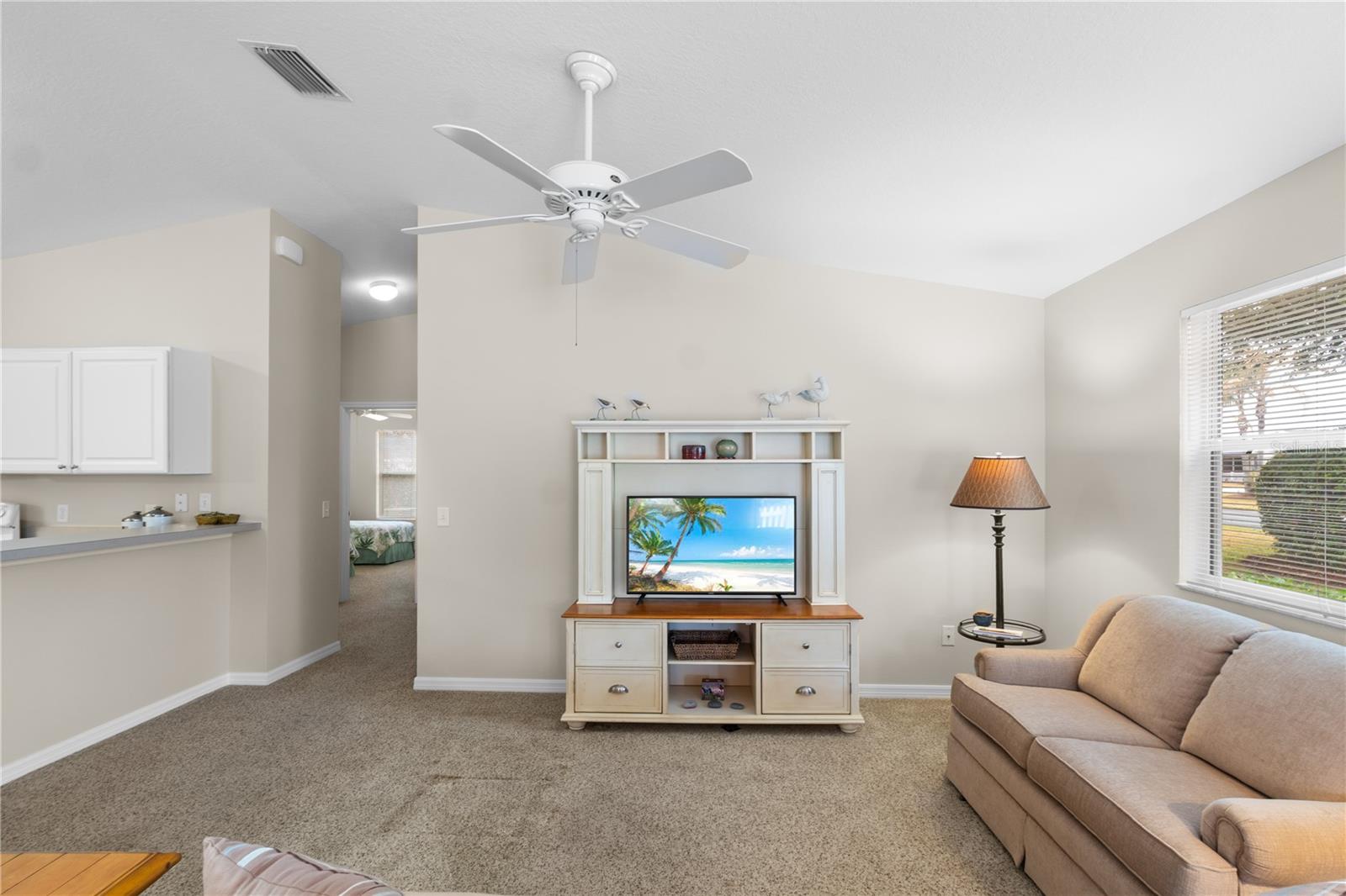 VILLAGES OF SUMTER SANDHILL VILLAS - Residential