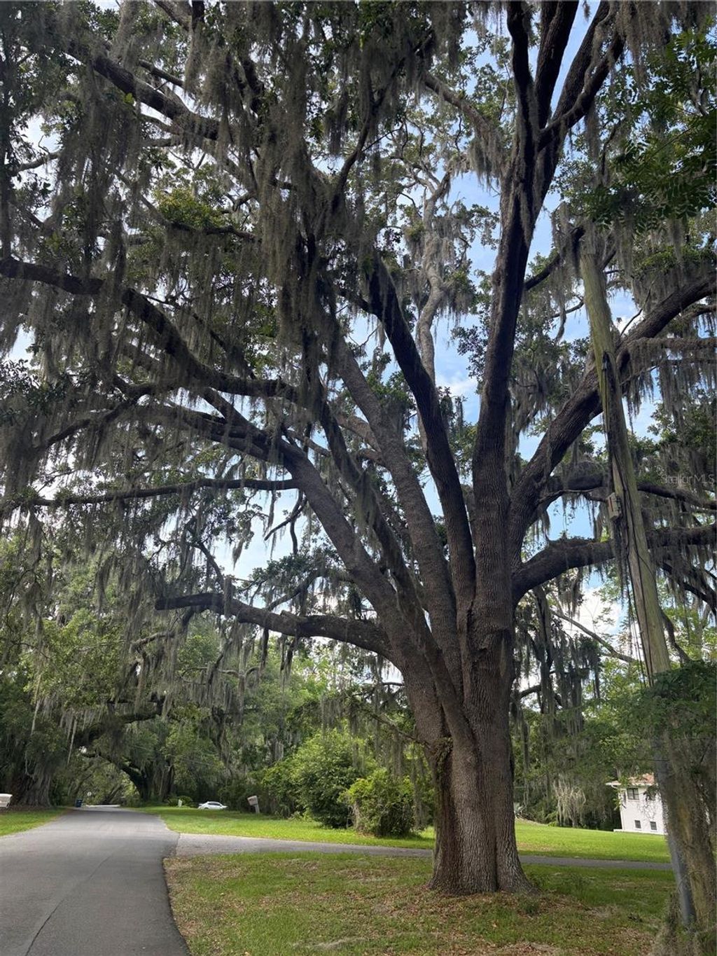 Photo of Mildred Avenue, Brooksville, FL 34601 (MLS # W7886166)