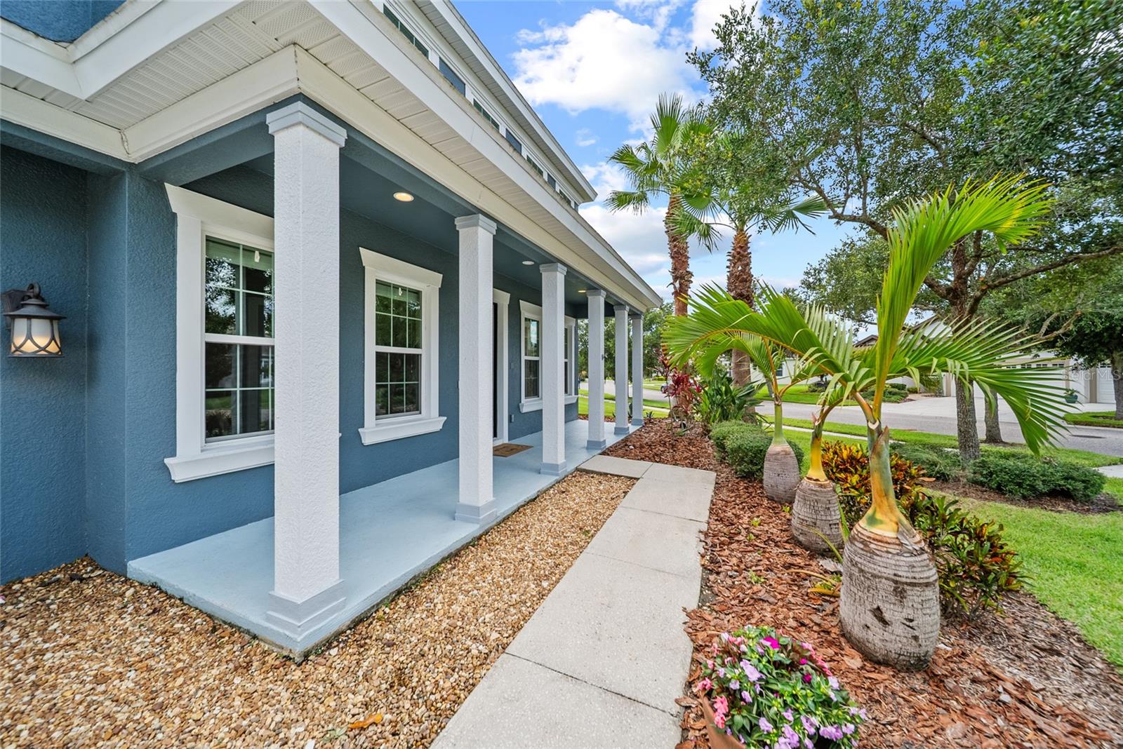 8332 SWISS CHARD CIRCLE