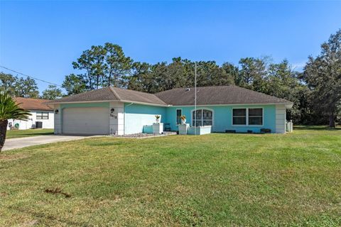 3018 GREYNOLDS AVENUE SPRING HILL FL 34608