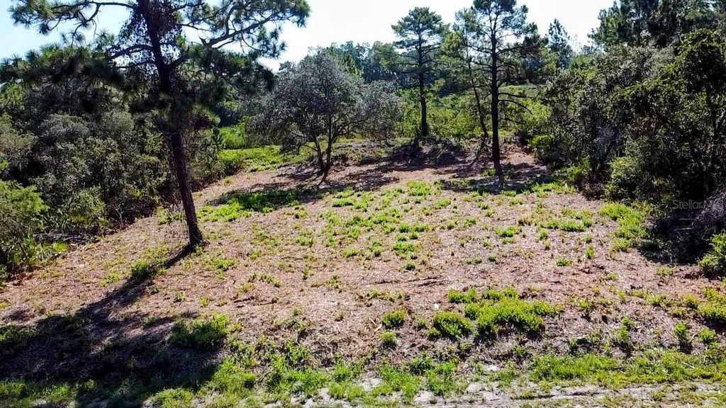 Photo of 0 Malauka Pass, Ocklawaha, FL 32179 (MLS # O6337549)