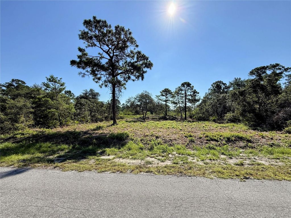 Photo of 0 Malauka Pass, Ocklawaha, FL 32179 (MLS # O6337549)