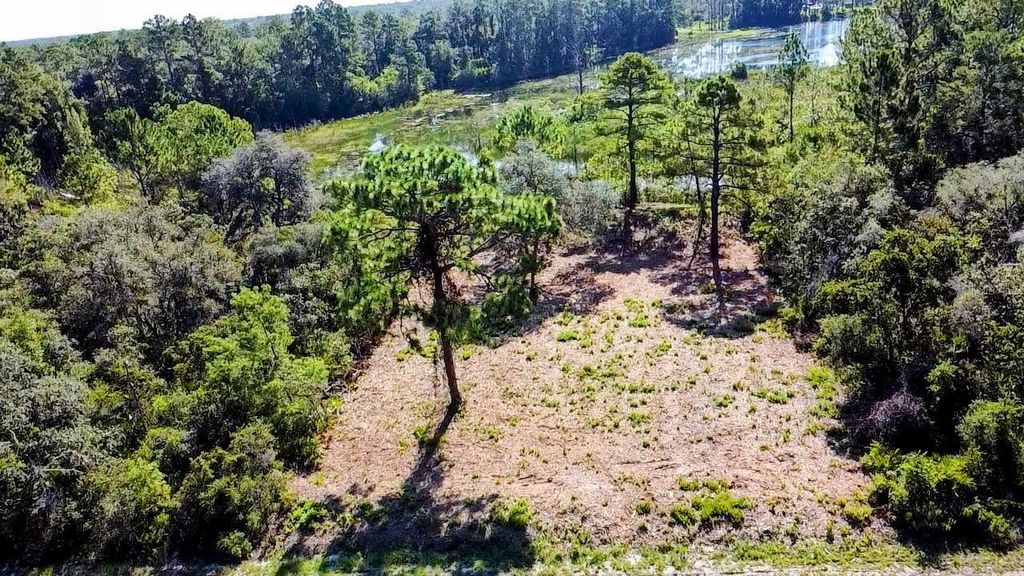 Photo of 0 Malauka Pass, Ocklawaha, FL 32179 (MLS # O6337549)