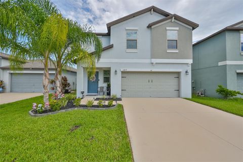 A home in WIMAUMA