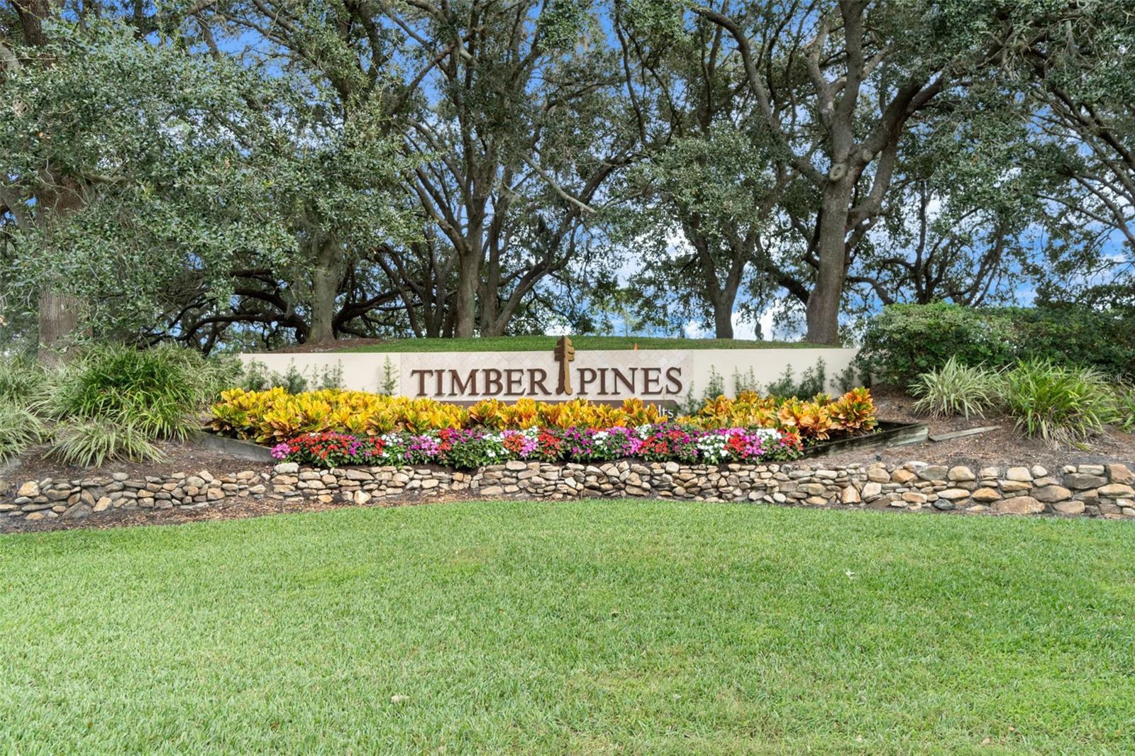 TIMBER PINES - Residential