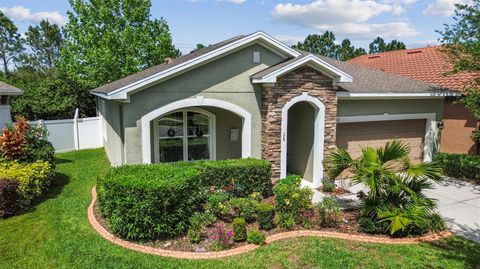 11862 FROST ASTER DRIVE RIVERVIEW FL 33579