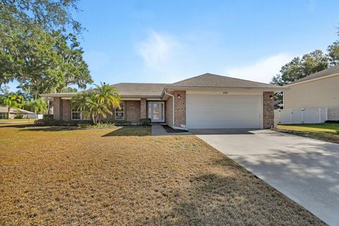 609 RIVER FERN LANE DELAND FL 32720