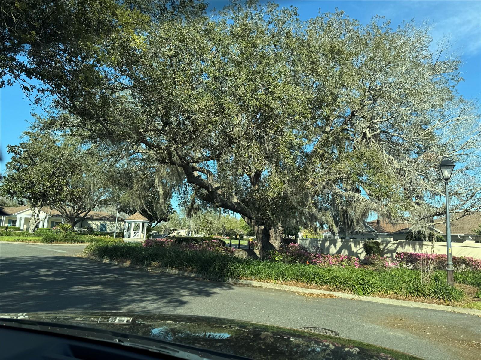 VILLAGES OF MARION UNIT # 55 - Residential