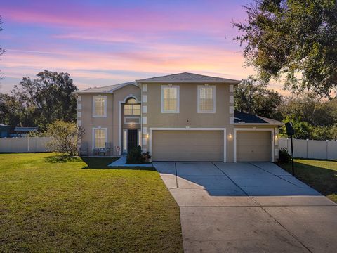 A home in MOUNT DORA