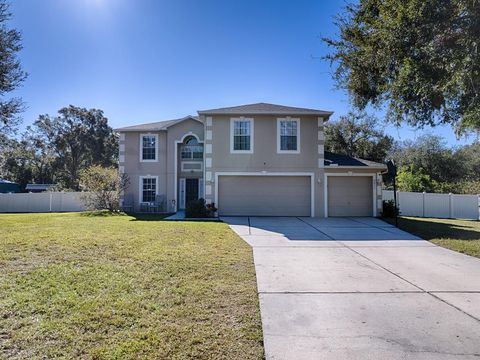 A home in MOUNT DORA