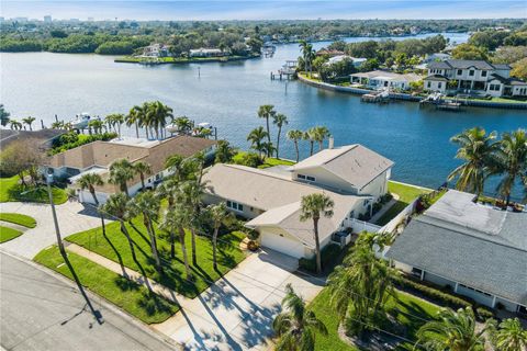 995 EDEN ISLE DRIVE NE ST PETERSBURG FL 33704