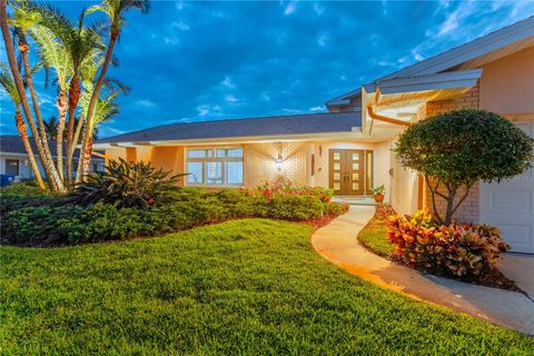 995 EDEN ISLE DRIVE NE ST PETERSBURG FL 33704
