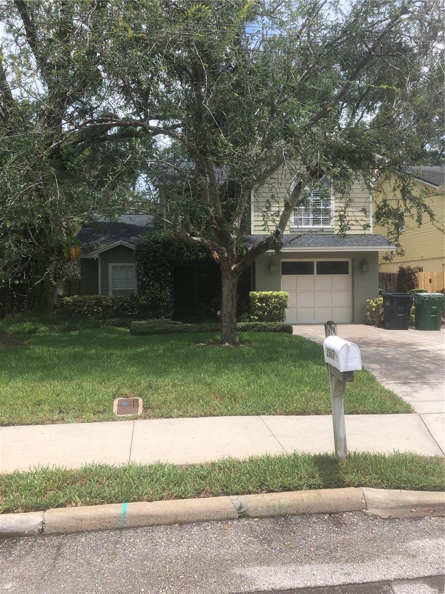 Wonderful Pool home in the heart of South Tampa in the Plant High School District. This house features an open concept with a beutiful kitchen with an island that is open to the living room. There is a seperate dining area that can accomodate a large table. Head out 2 sets of doors to the pool area for outside entertaining and plenty of space for grilling. Close to TIA and shopping and only 30 minutes to the beaches.