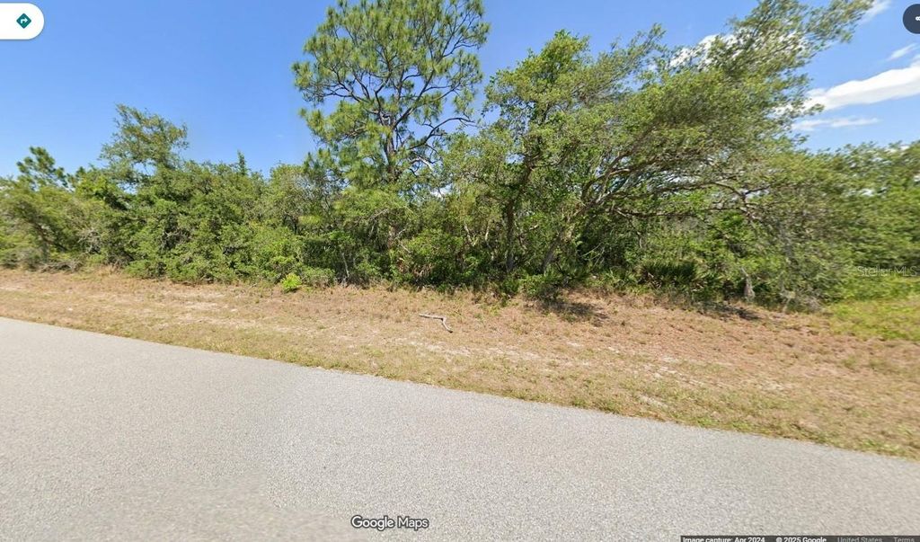 Photo of 919 Wildflower Street, Lake Placid, FL 33852 (MLS # O6356944)