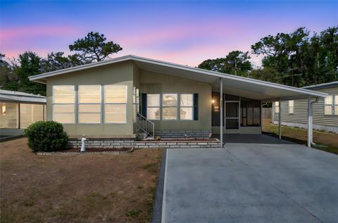 Photo of 4801 Blanco Drive, Zephyrhills, FL 33541 (MLS # TB8380908)