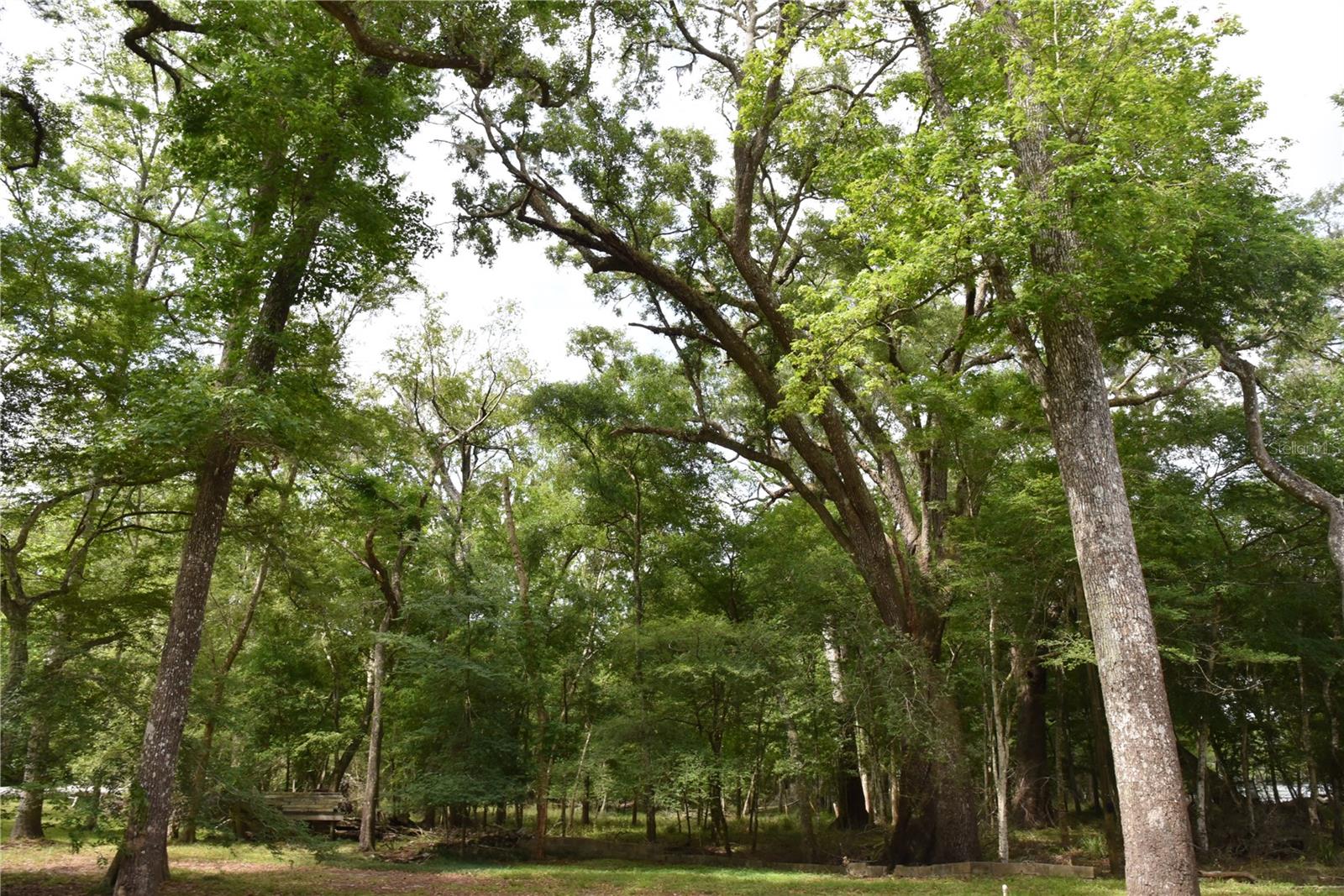 LOG LANDING - Residential