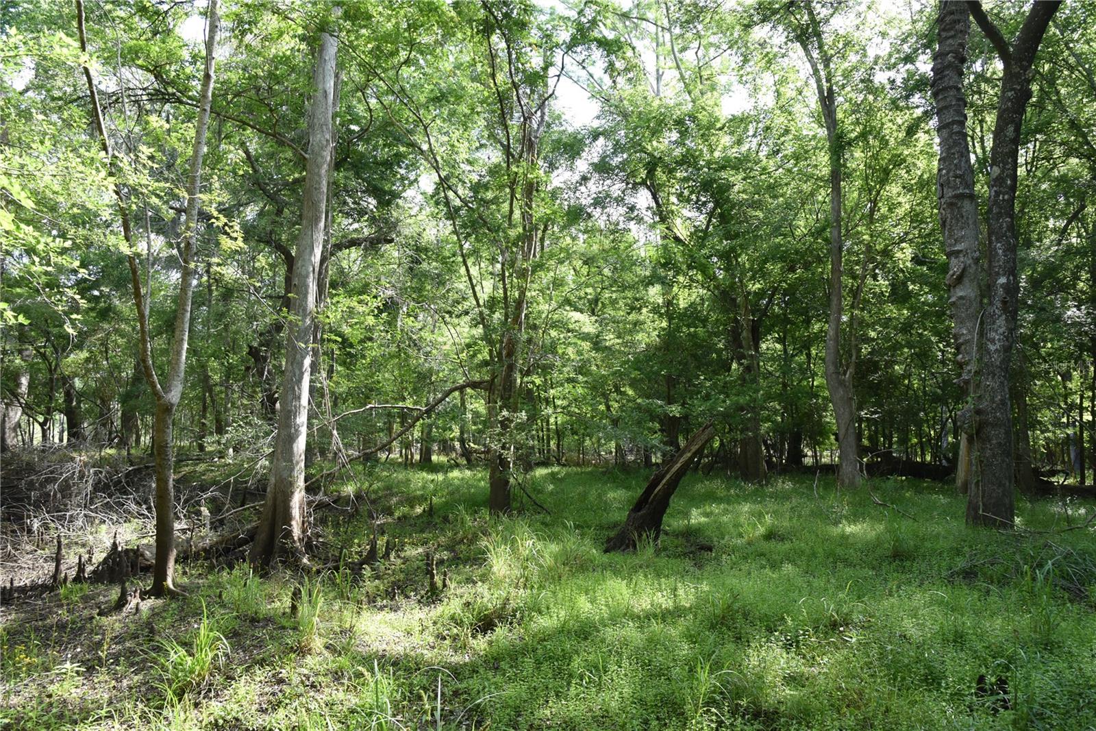 LOG LANDING - Residential