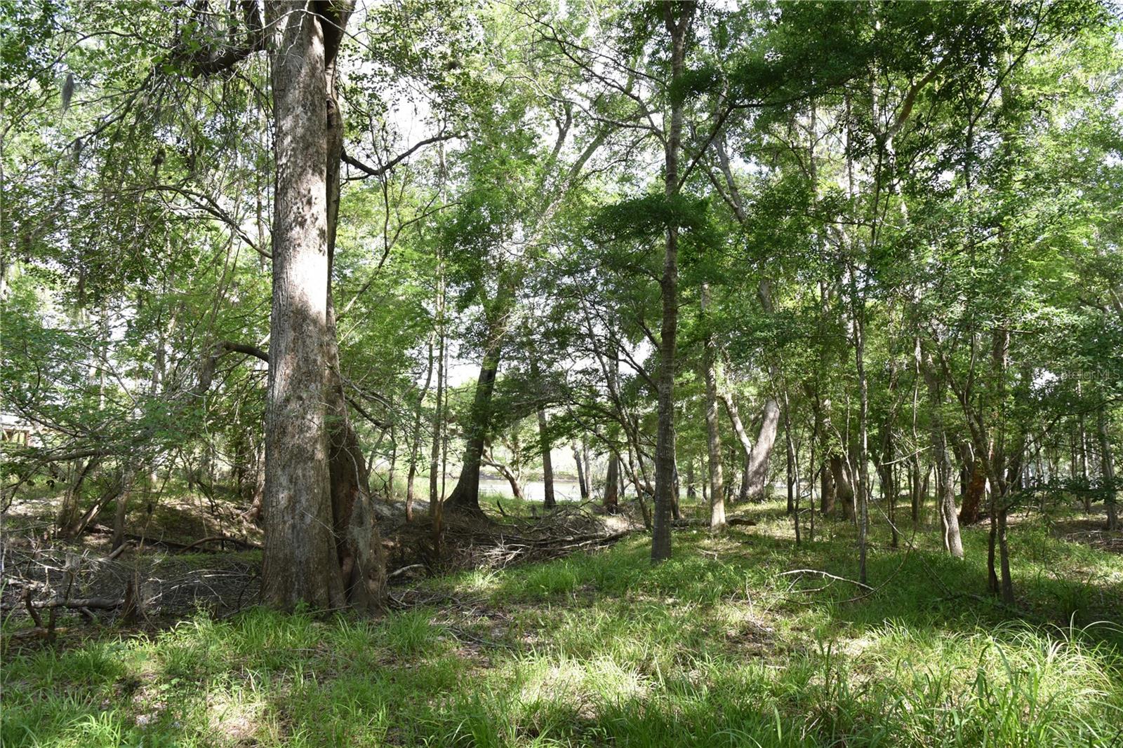 LOG LANDING - Residential