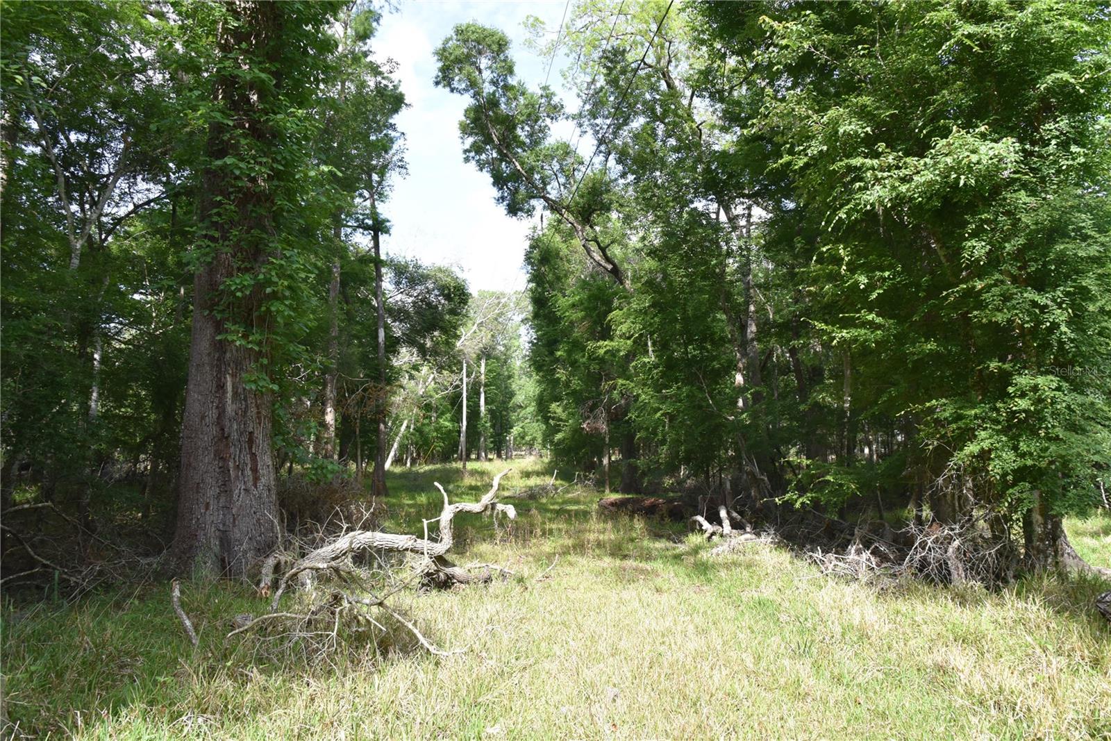 LOG LANDING - Residential