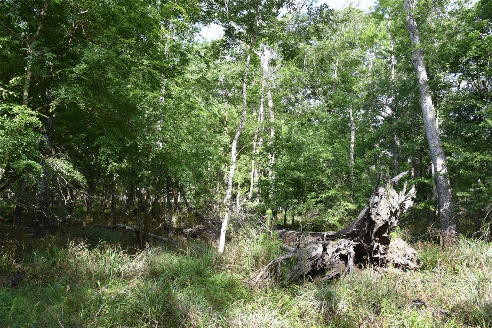 LOG LANDING - Residential