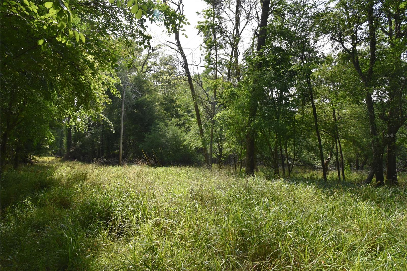 LOG LANDING - Residential