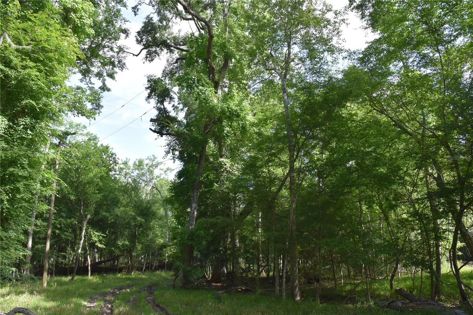 LOG LANDING - Residential