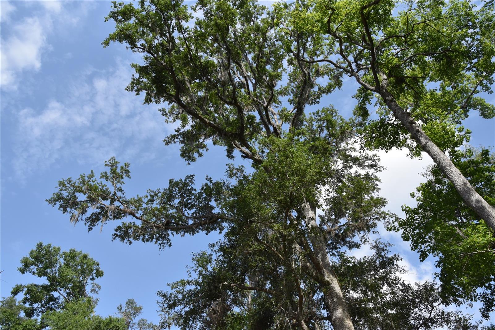 LOG LANDING - Residential