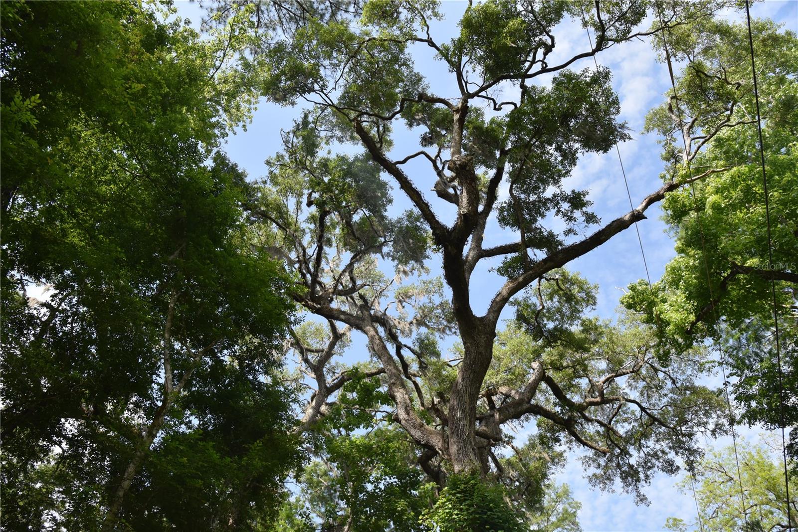 LOG LANDING - Residential