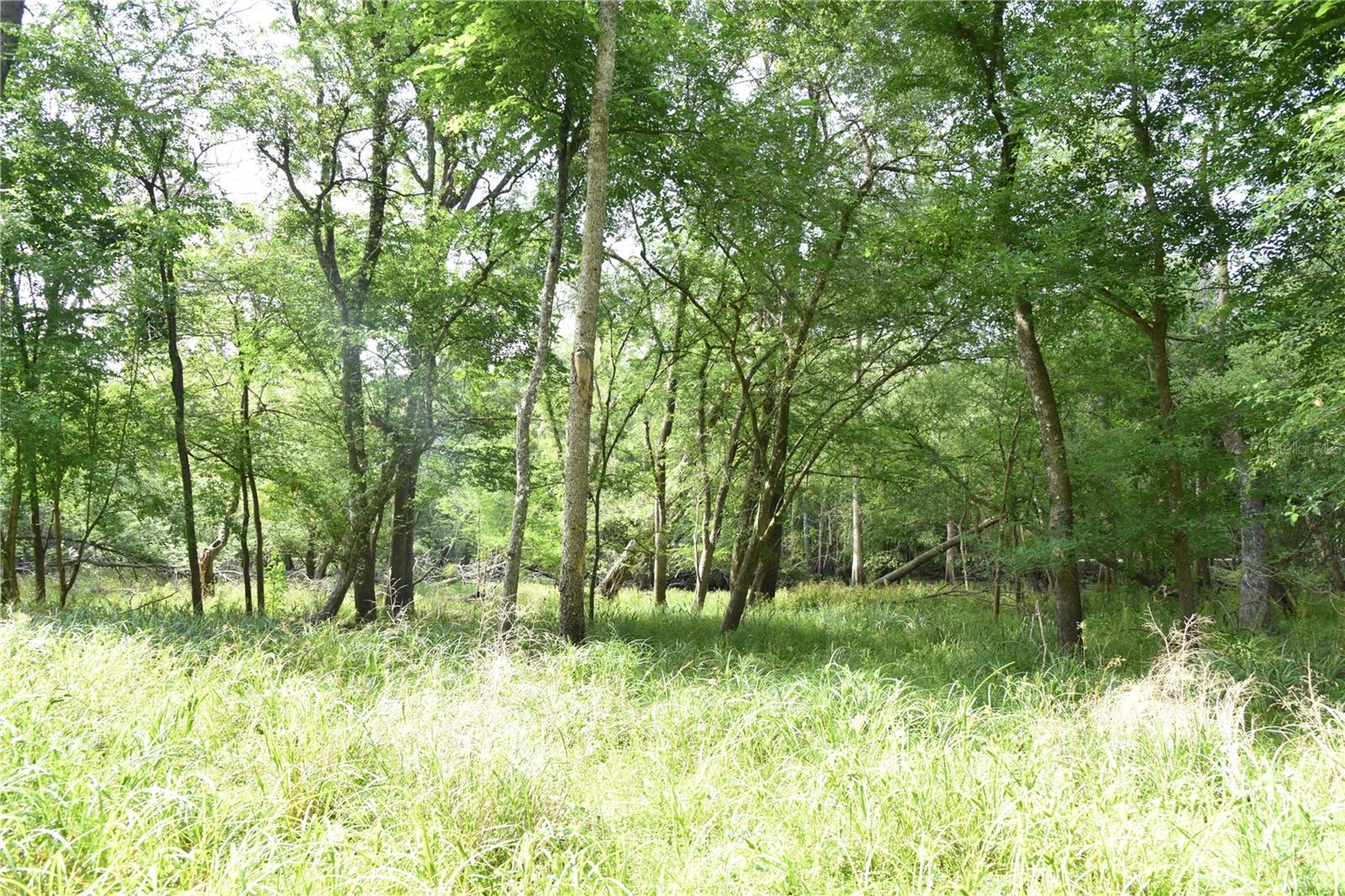 LOG LANDING - Residential