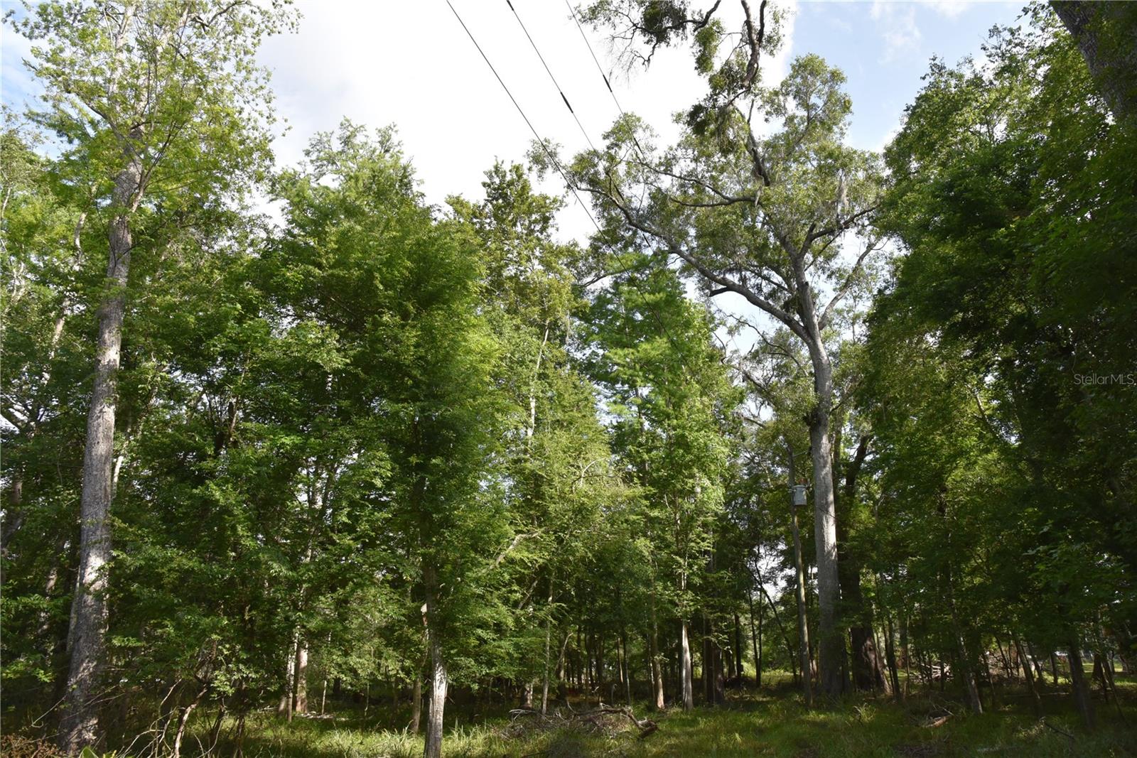 LOG LANDING - Residential