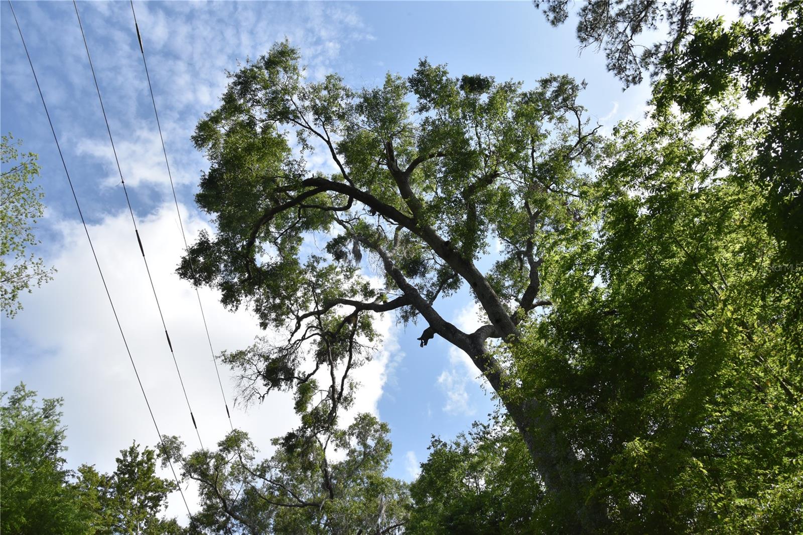 LOG LANDING - Residential