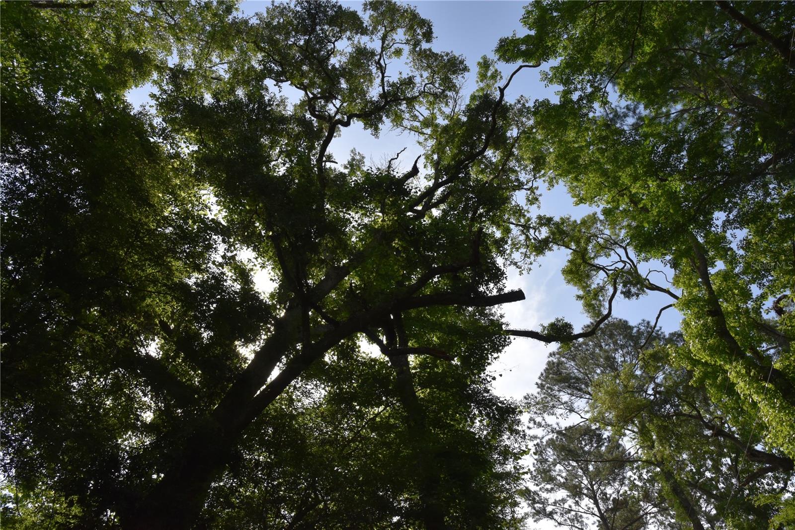 LOG LANDING - Residential