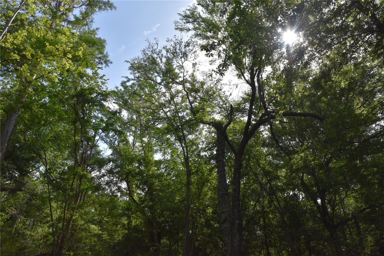 LOG LANDING - Residential