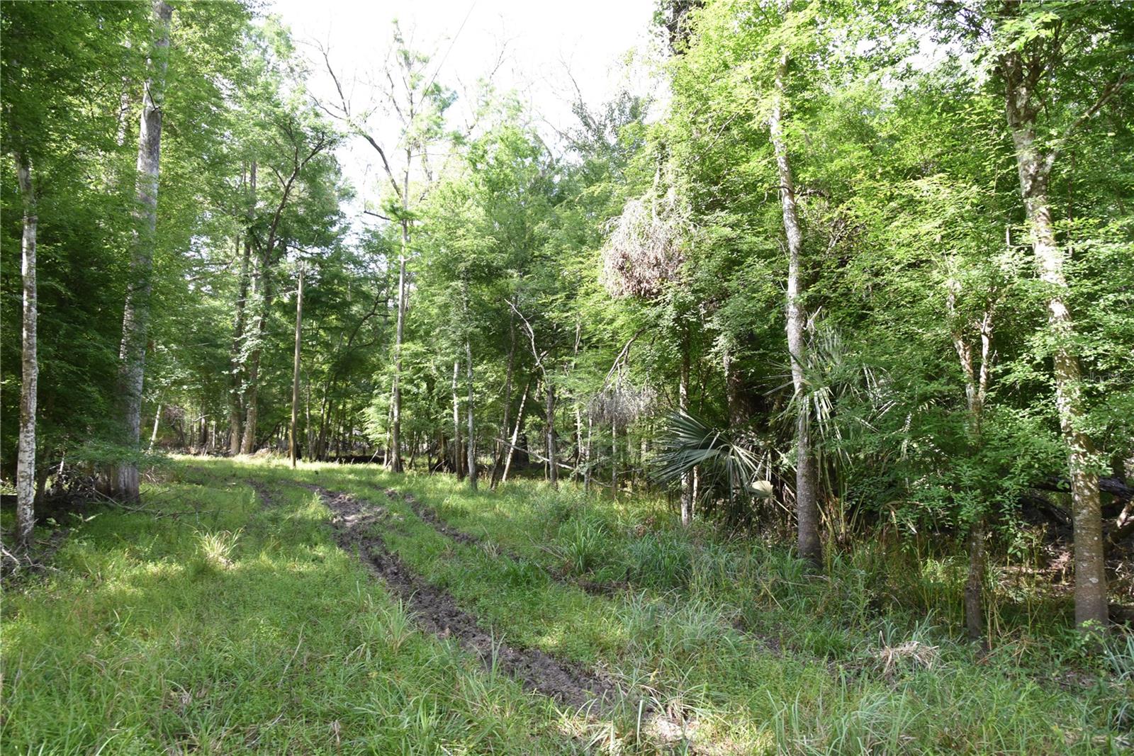 LOG LANDING - Residential