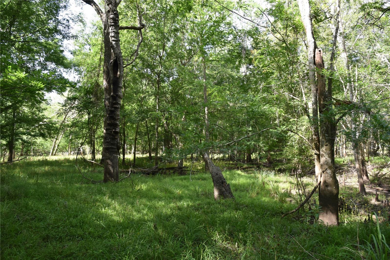 LOG LANDING - Residential