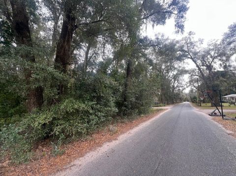 17441 NE 16TH TERRACE CITRA FL 32113