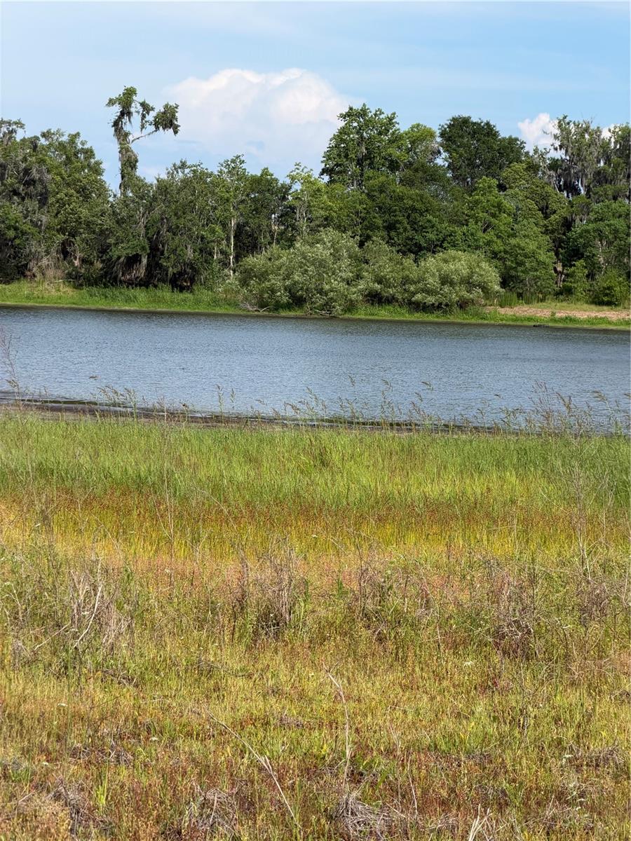 PALOMINO LAKES - Land