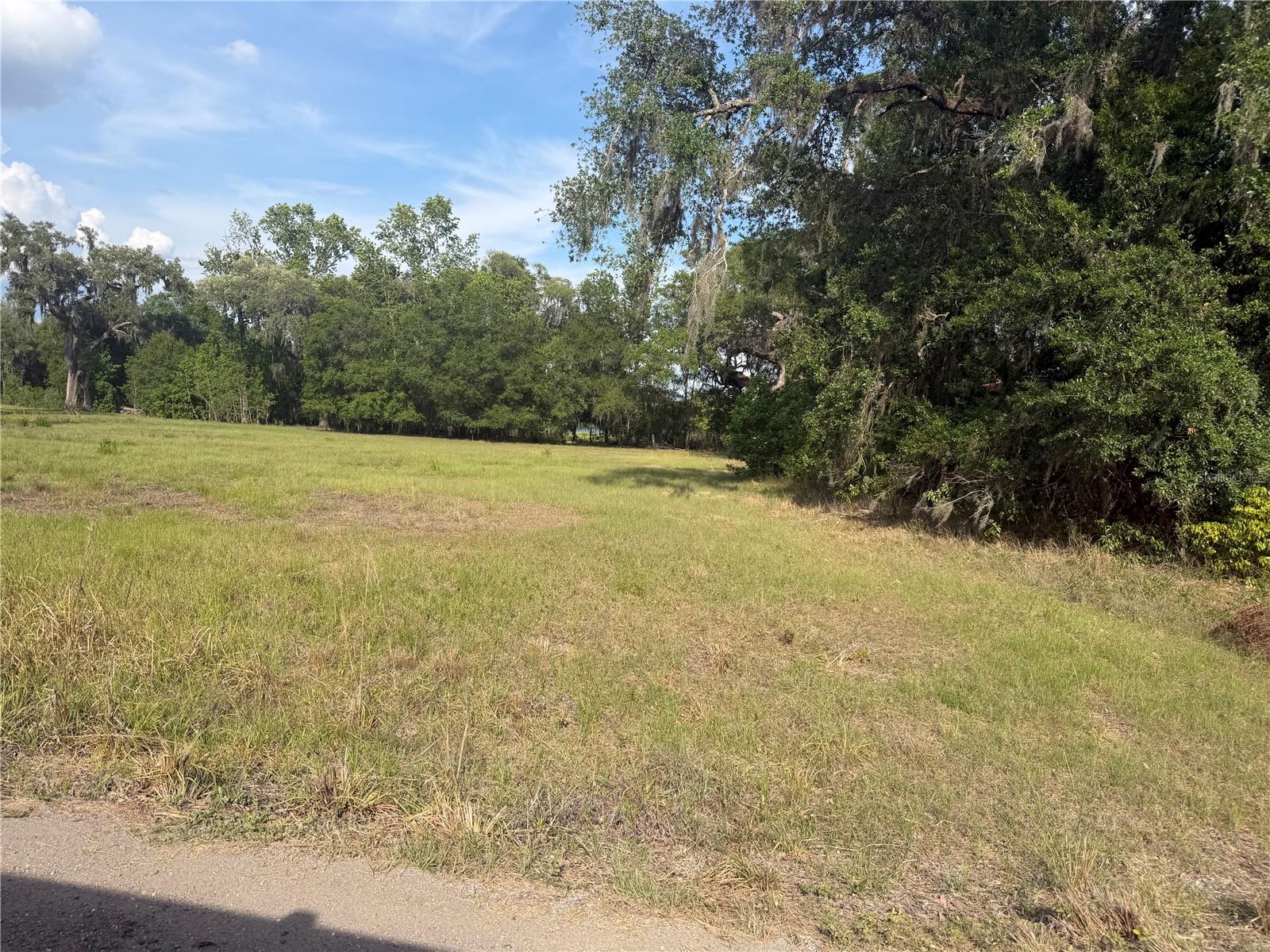 PALOMINO LAKES - Land
