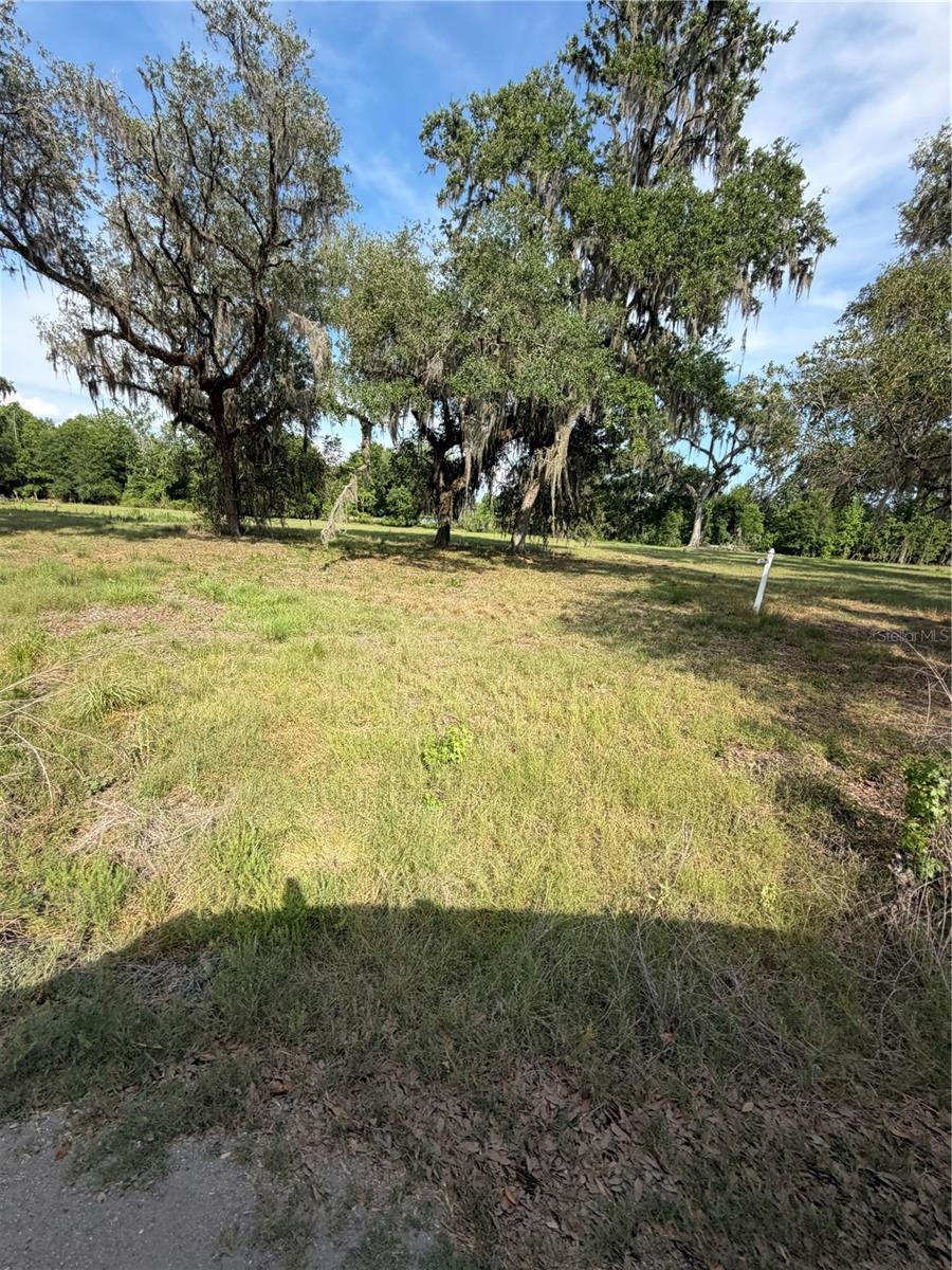 PALOMINO LAKES - Land