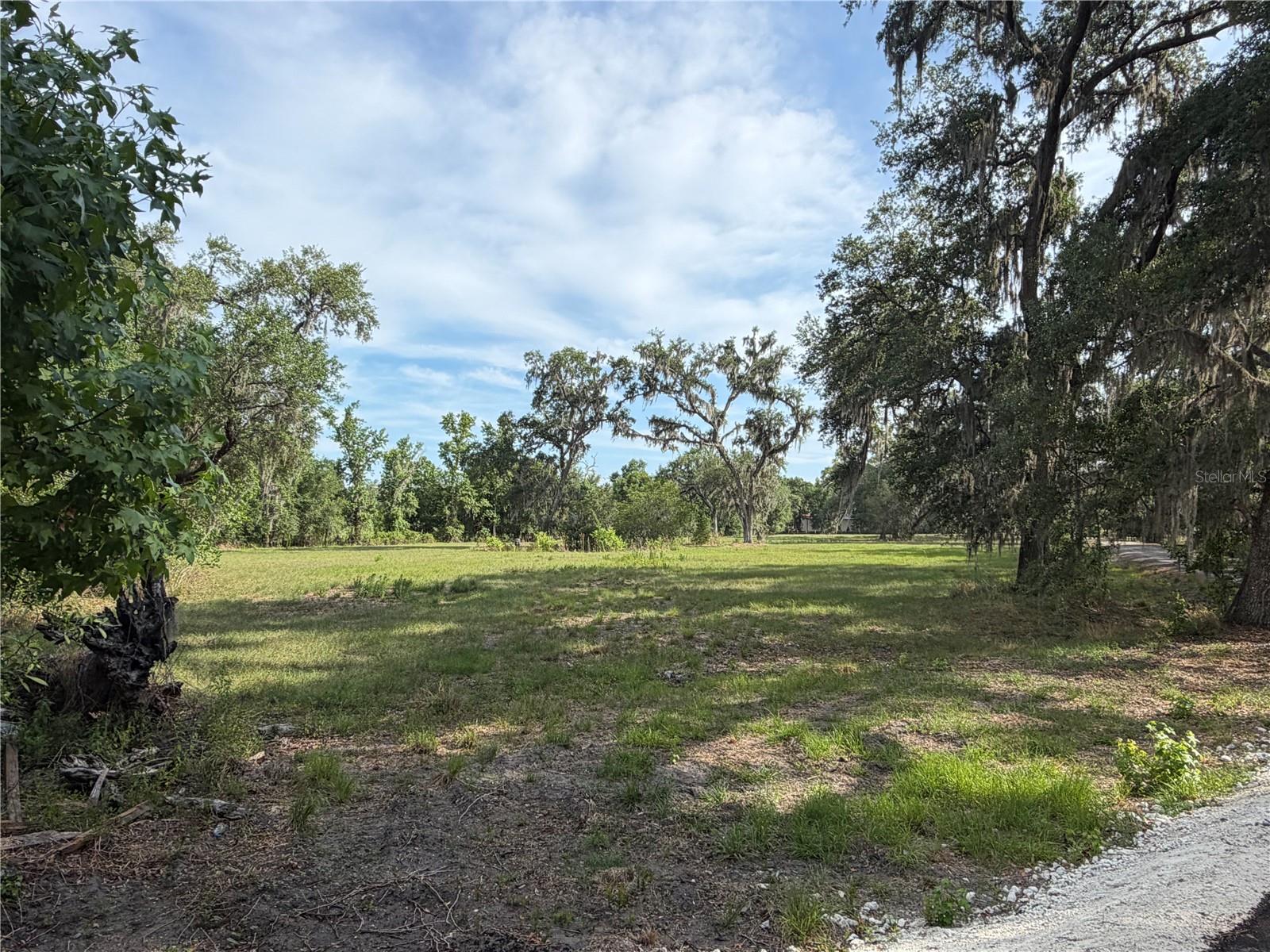 PALOMINO LAKES - Land