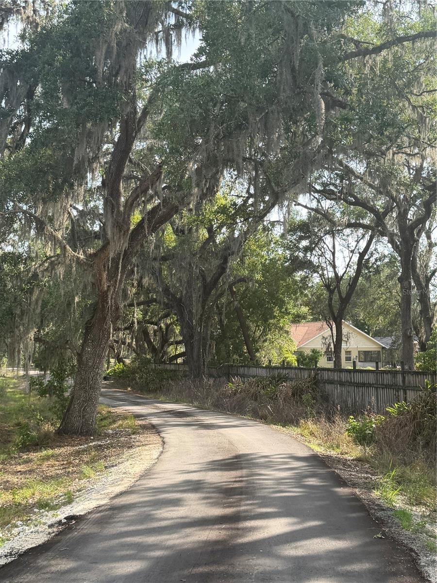 PALOMINO LAKES - Land