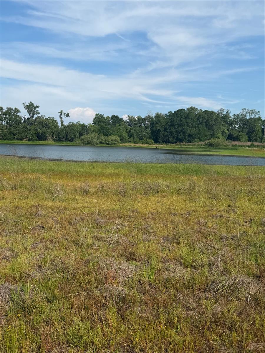 PALOMINO LAKES - Land