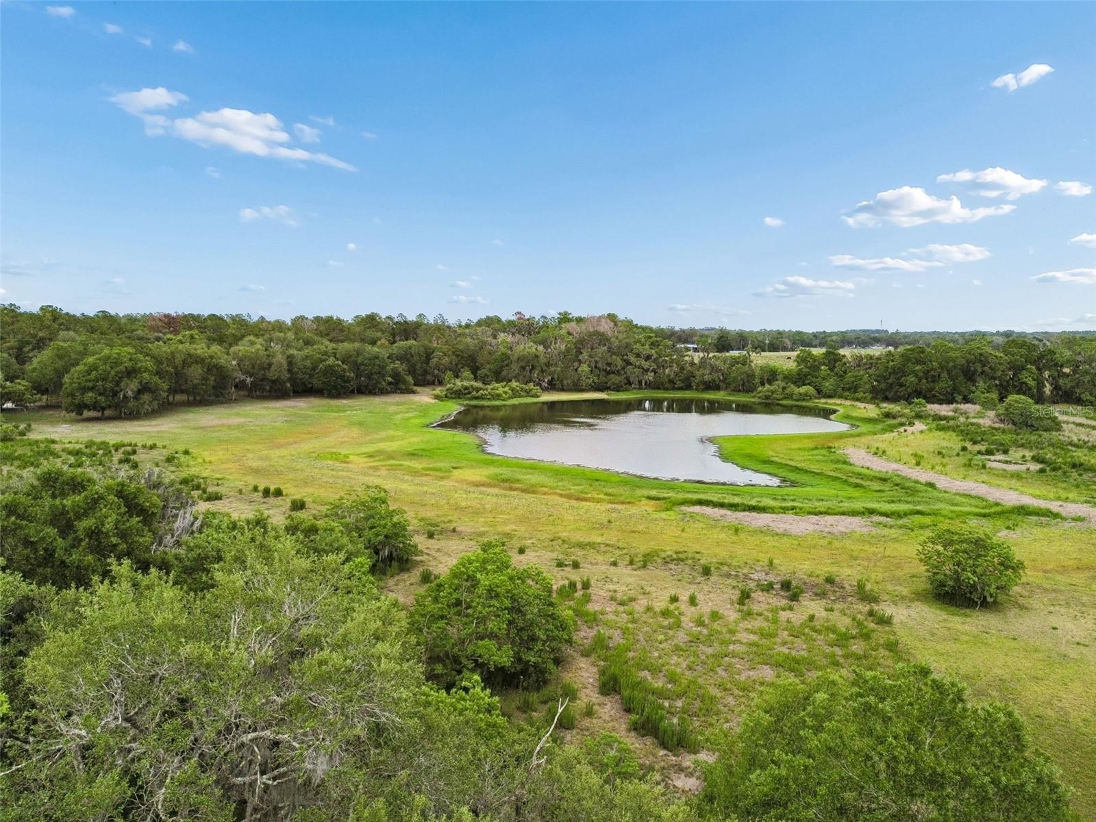 000 PALOMINO LAKES DR